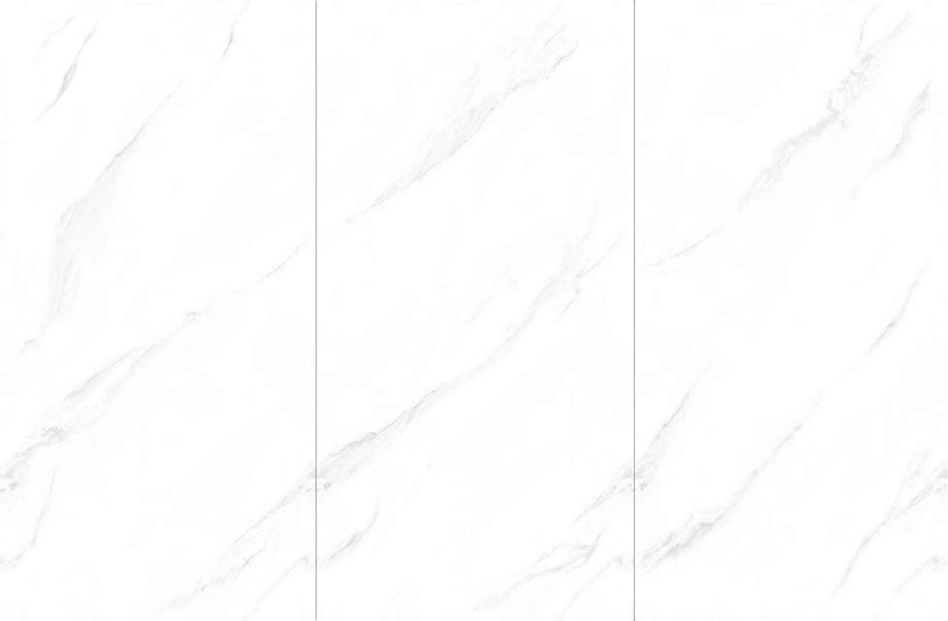 YM98706.jpg