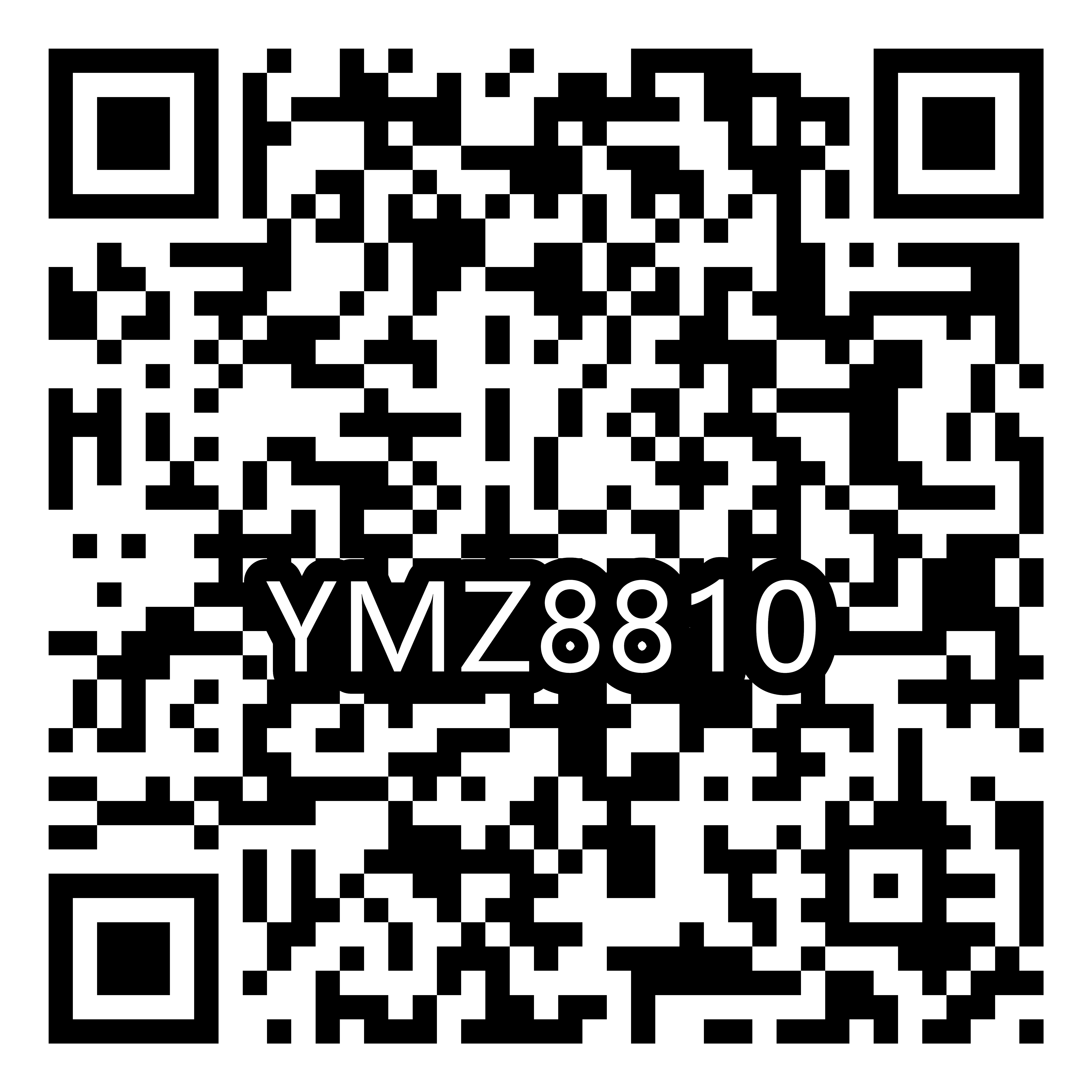 YMZ8810R.png